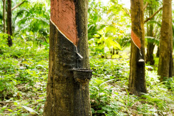 Minimiser l'utilisation des ressources naturelles