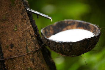 Valoriser les ressources naturelles